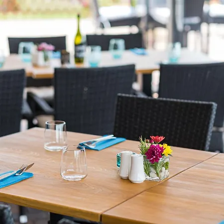 Vitis Kuria 7171 Otel