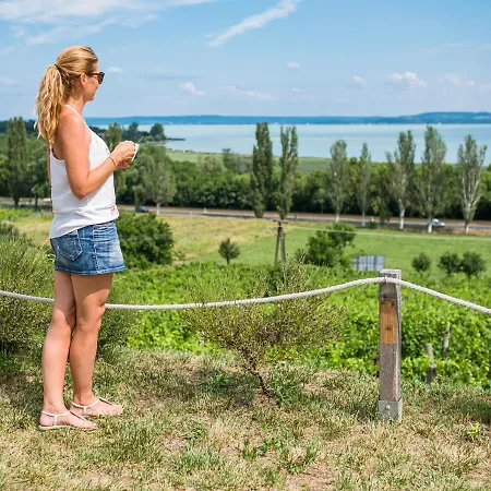 Hotel Vitis Kuria 7171 Balatonrendes