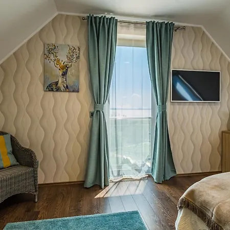 Vitis Kuria 7171 Balatonrendes