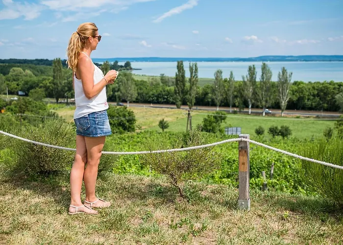 Hotel Vitis Kuria 7171 Balatonrendes