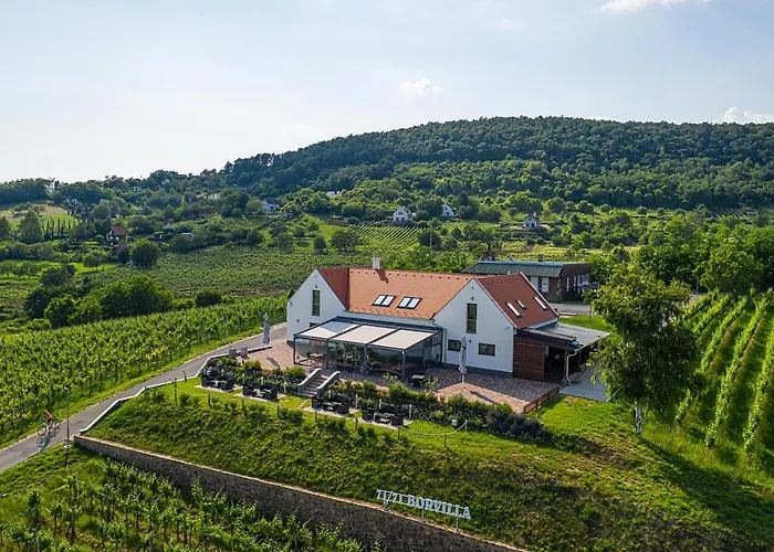 Vitis Kuria 7171 Otel Balatonrendes